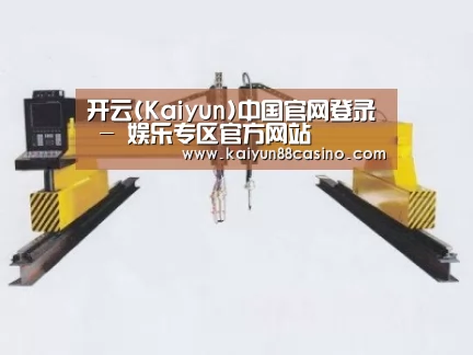 产品名称十九