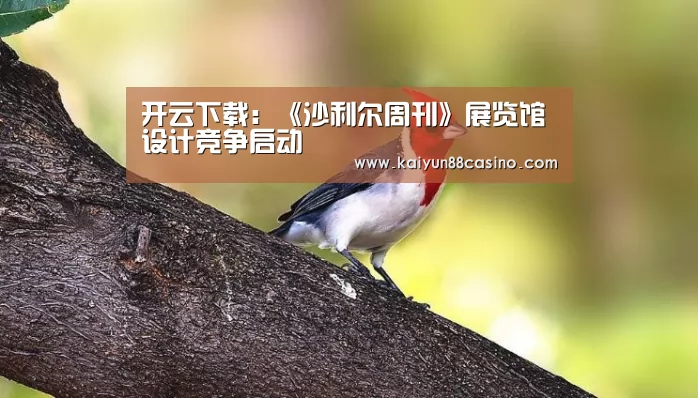 开云下载:《沙利尔周刊》展览馆设计竞争启动(图1) 开云官网