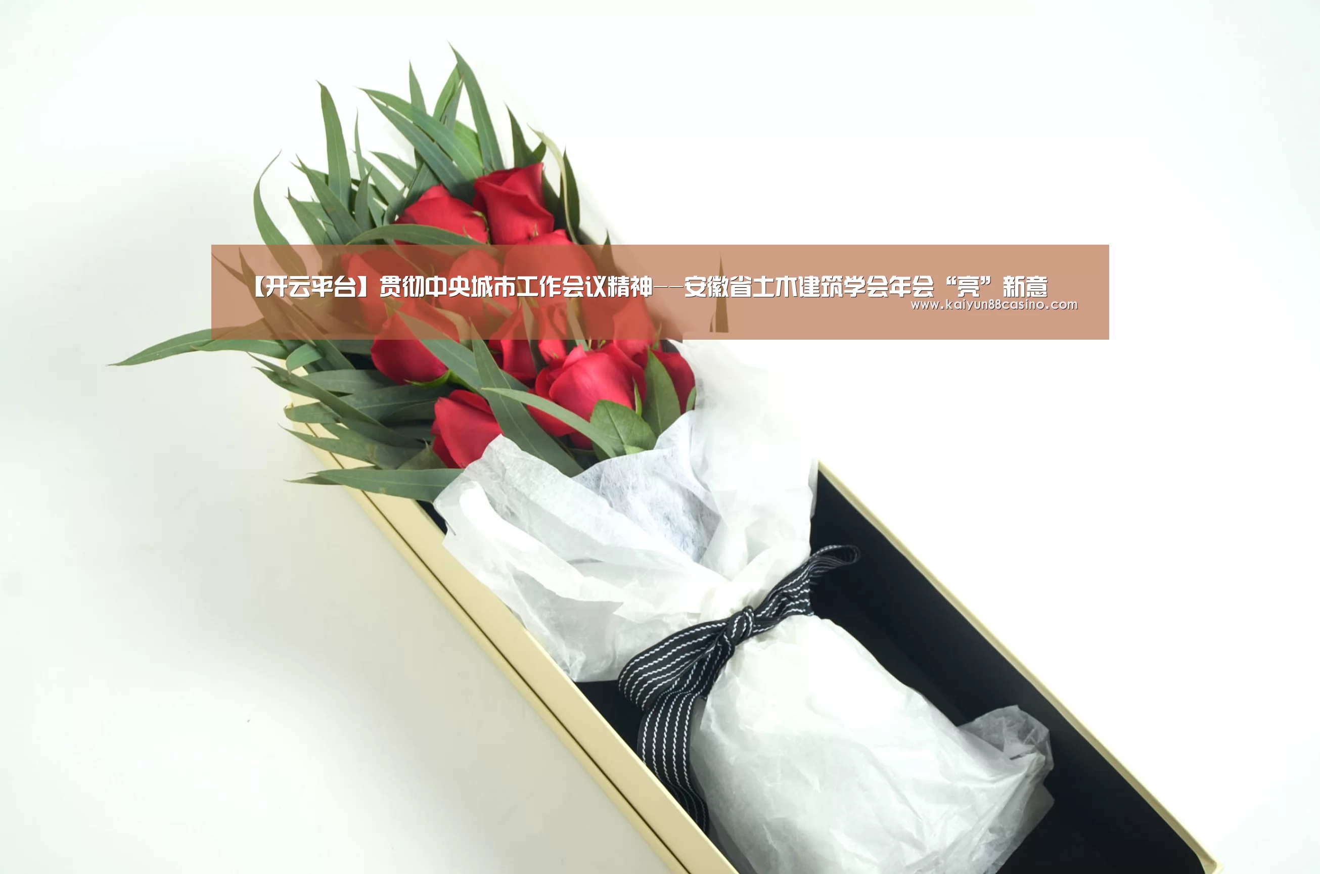 【开云平台】贯彻中央城市工作会议精神--安徽省土木建筑学会年会“亮”新意(图1) 开云官网