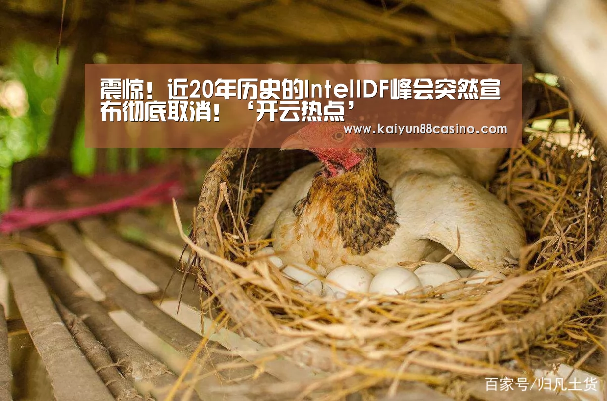 震惊!近20年历史的IntelIDF峰会突然宣布彻底取消!‘开云热点’(图2) 开云热点