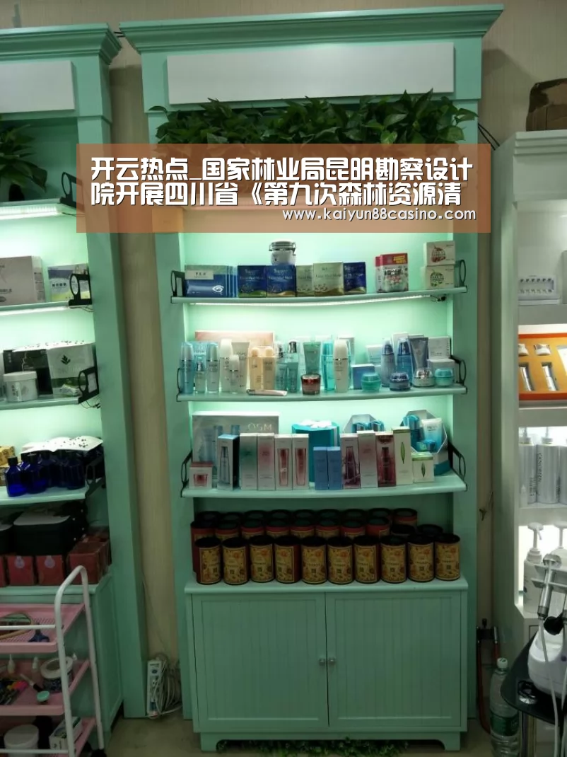 开云热点_国家林业局昆明勘察设计院开展四川省《第九次森林资源清查操作细则》研讨会(图1) 开云下载